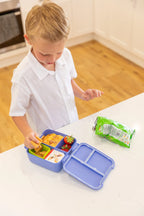 Splash Bite Lunchbox - Montiico