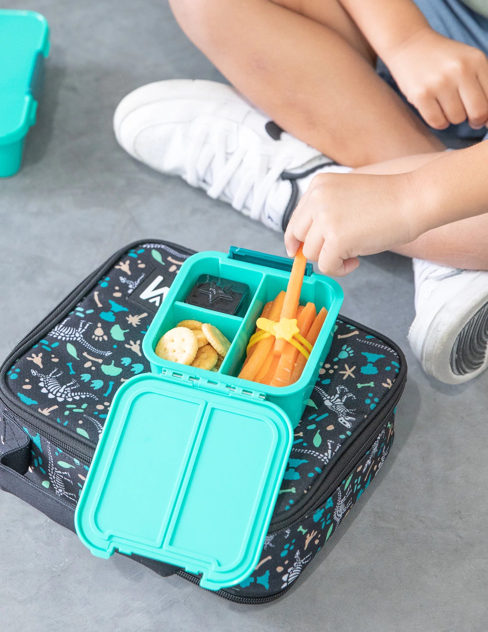 Burst Food Wrap Bands Pack - Lunch Punch