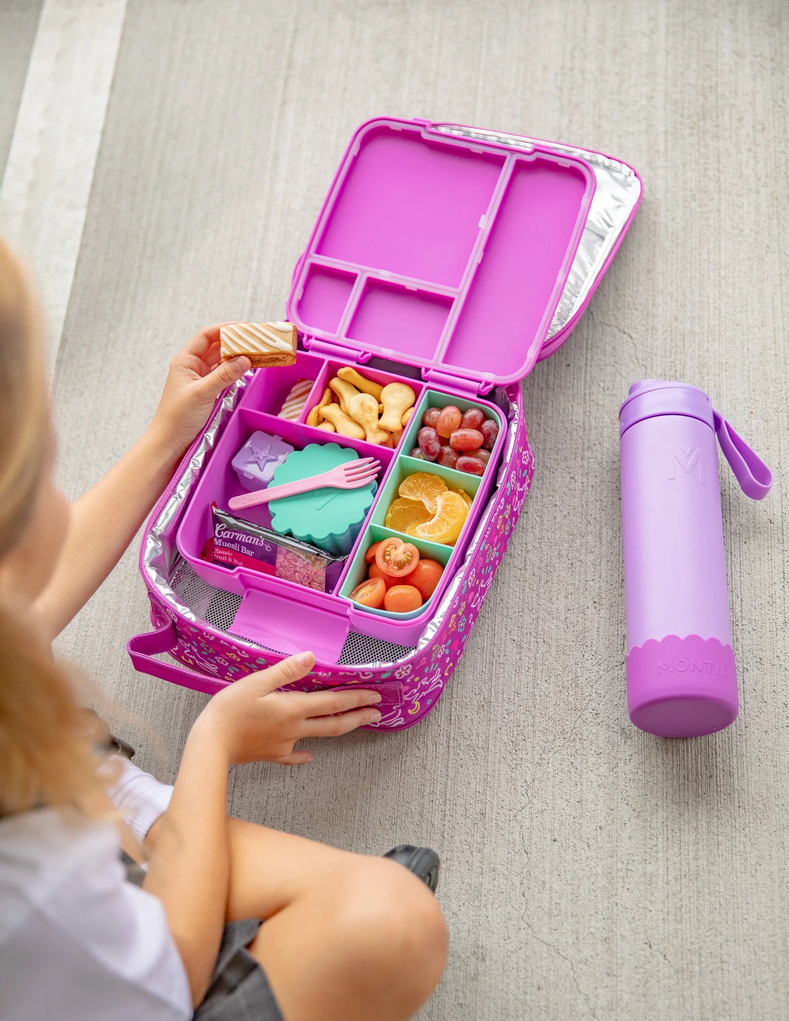 Marine Feast Lunchbox Tray - Montiico