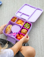 Lilac Feast Lunchbox - Montiico