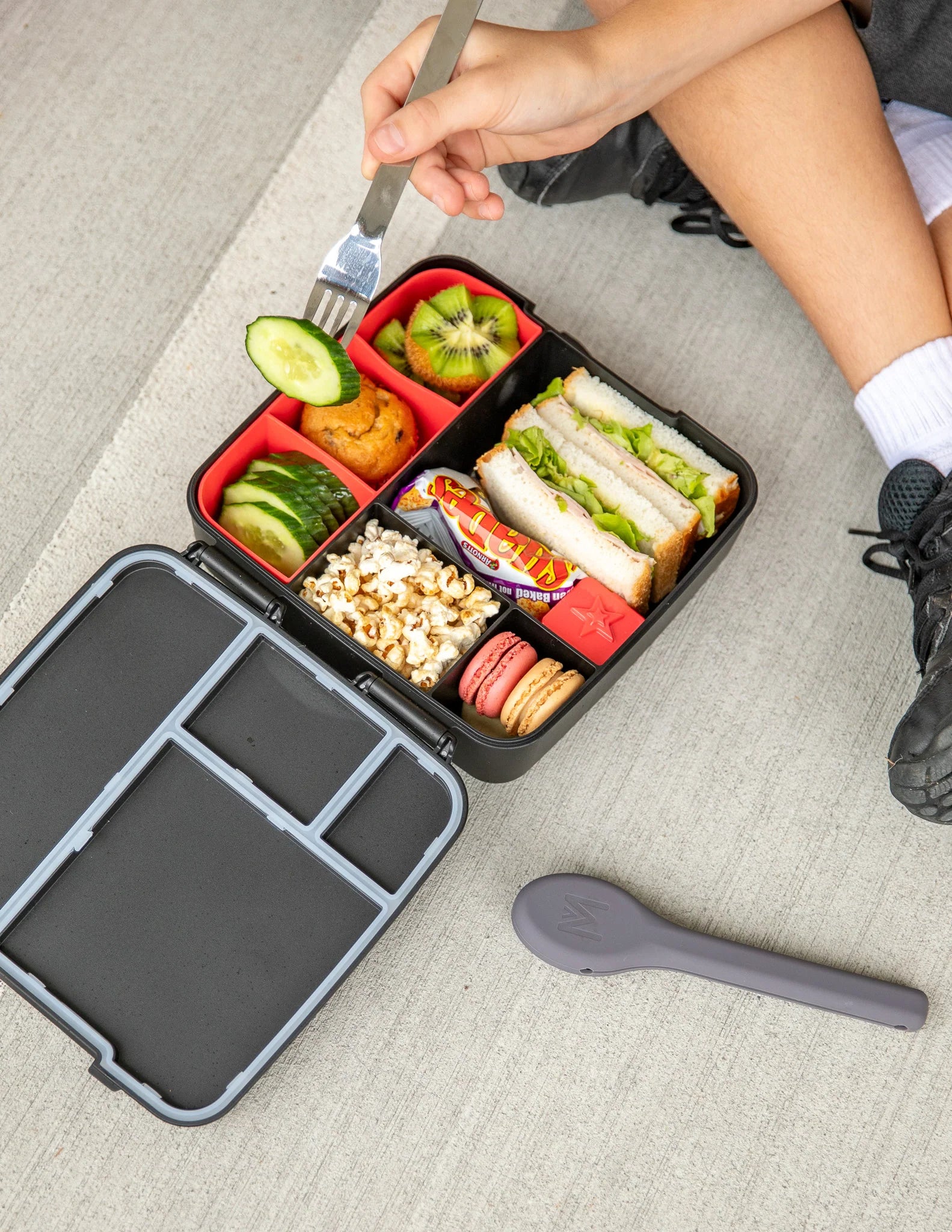 Watermelon Feast Lunchbox Tray - Montiico