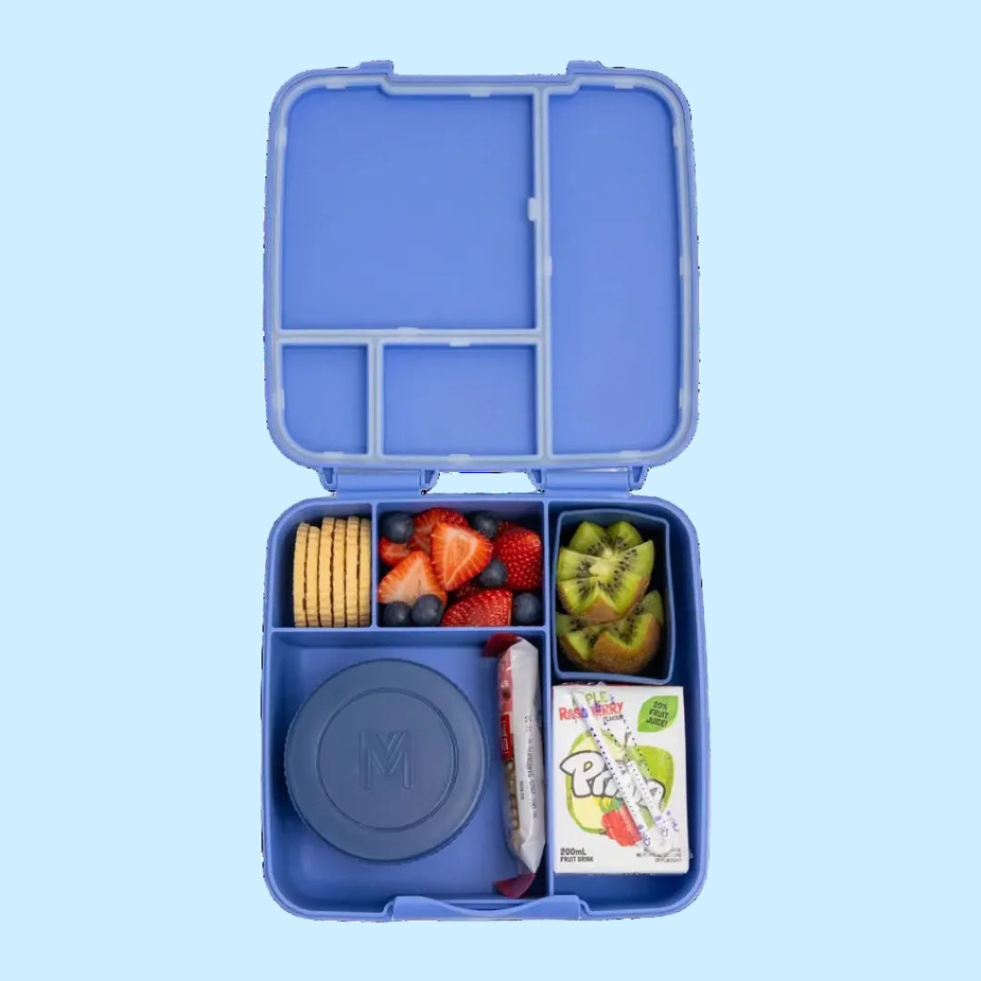 Splash Feast Lunchbox - Montiico