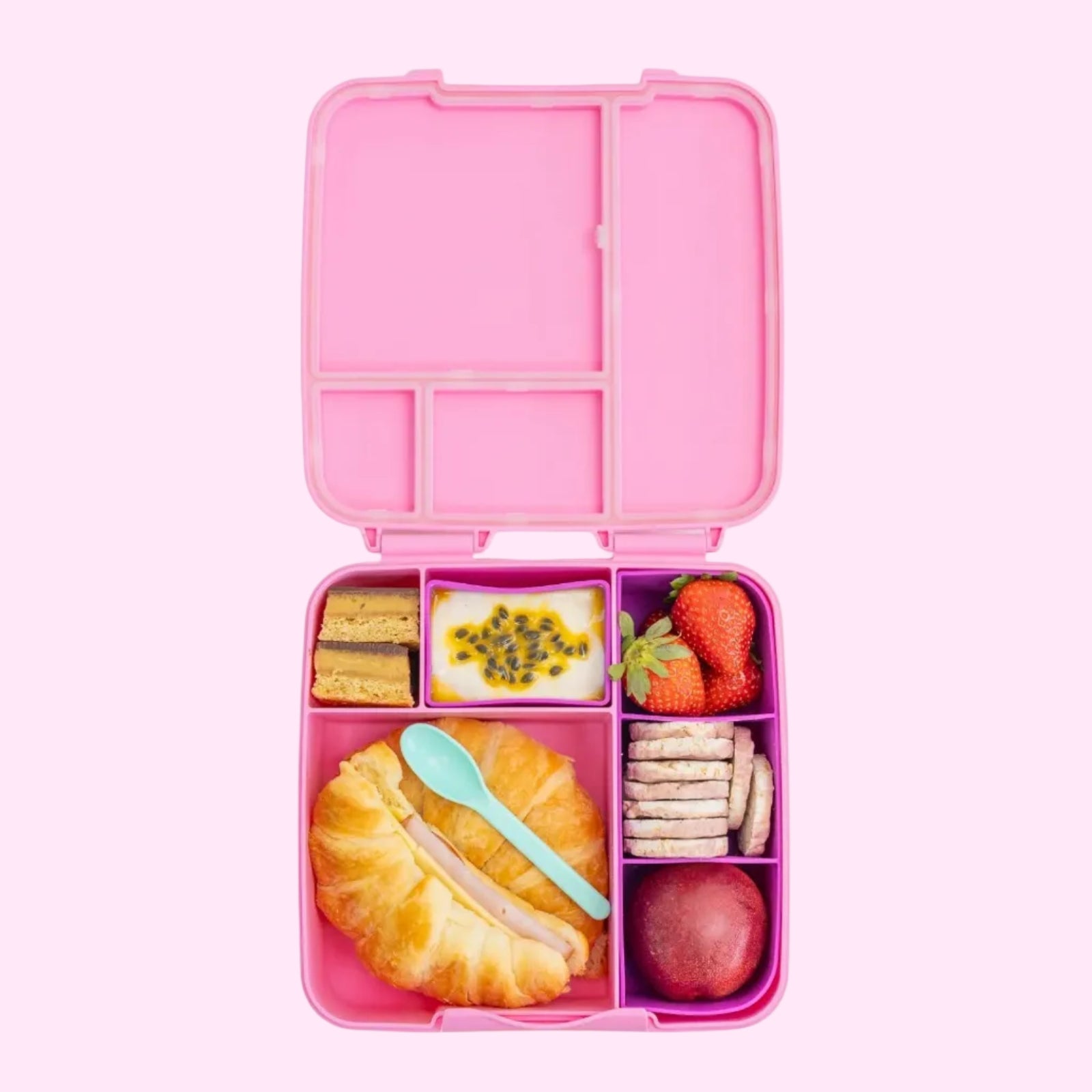 Floss Feast Lunchbox - Montiico