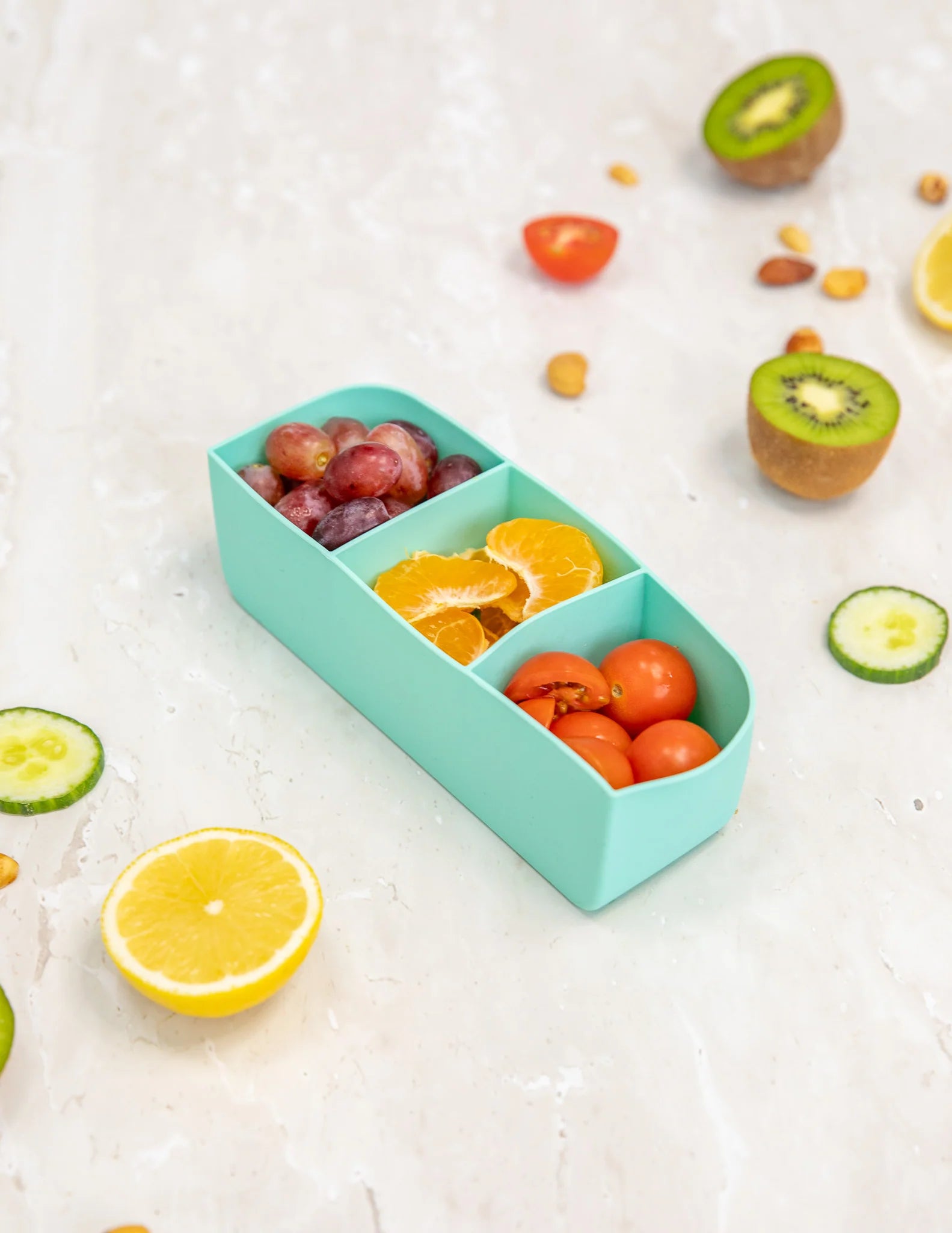 Marine Feast Lunchbox Tray - Montiico