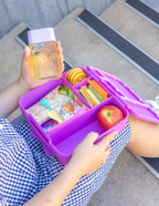 Fuchsia Feast Lunchbox - Montiico