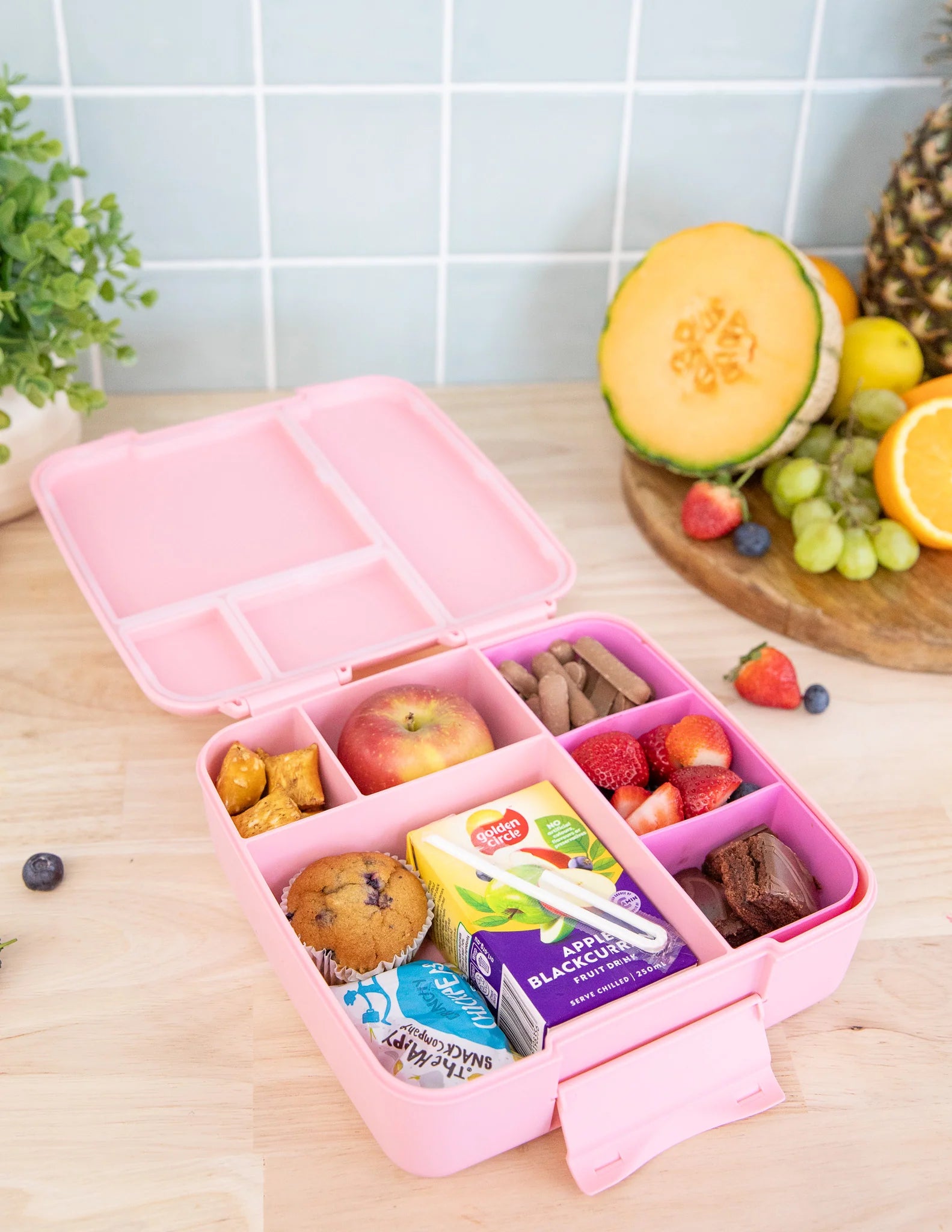 Floss Feast Lunchbox Tray - Montiico