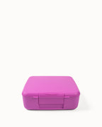 Fuchsia Feast Lunchbox - Montiico