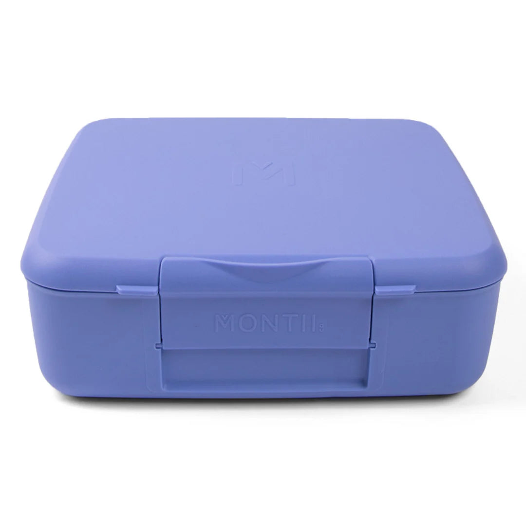 Splash Feast Lunchbox - Montiico