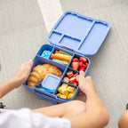 Splash Feast Lunchbox - Montiico