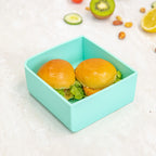Marine Square Feast Lunchbox Tray - Montiico