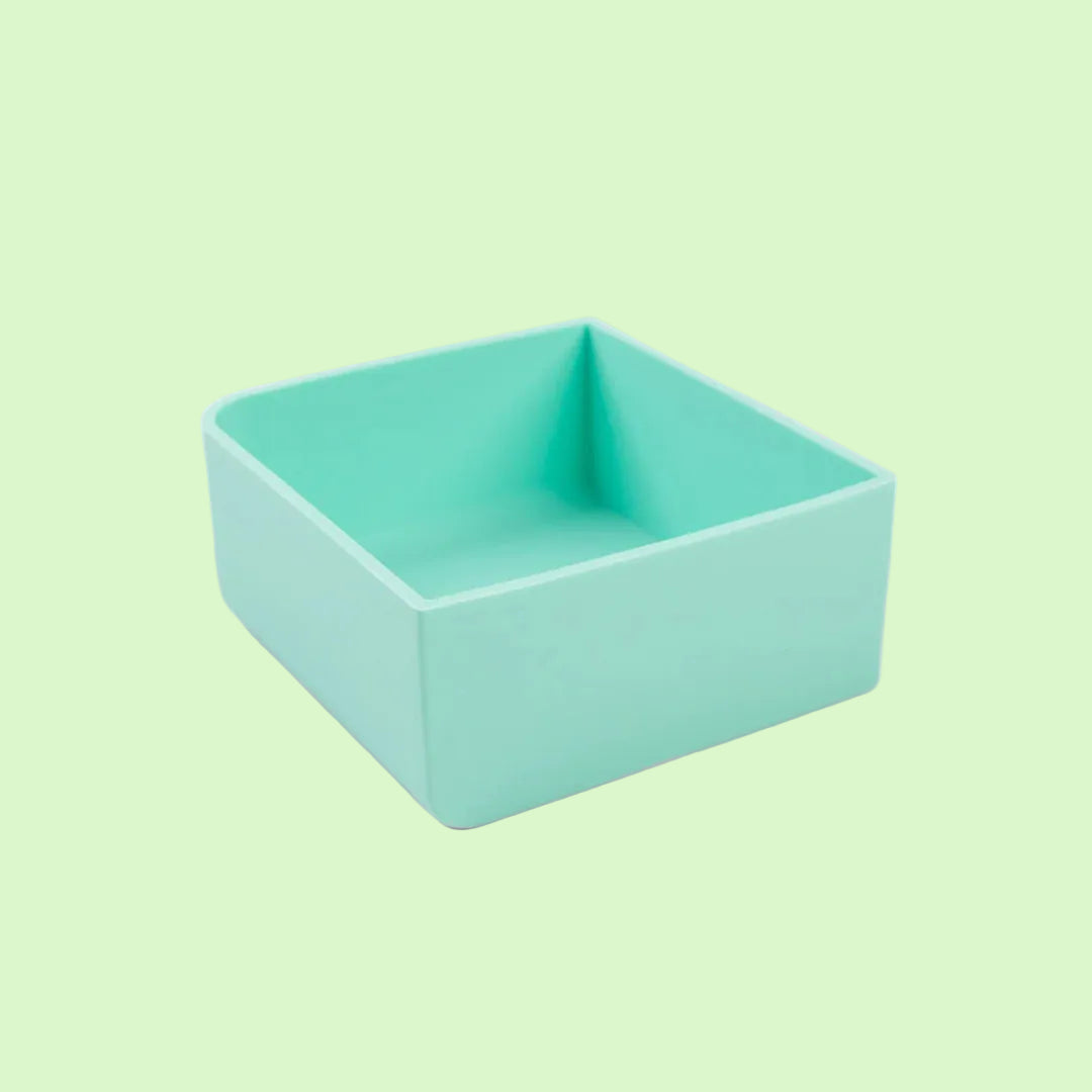 Marine Square Feast Lunchbox Tray - Montiico
