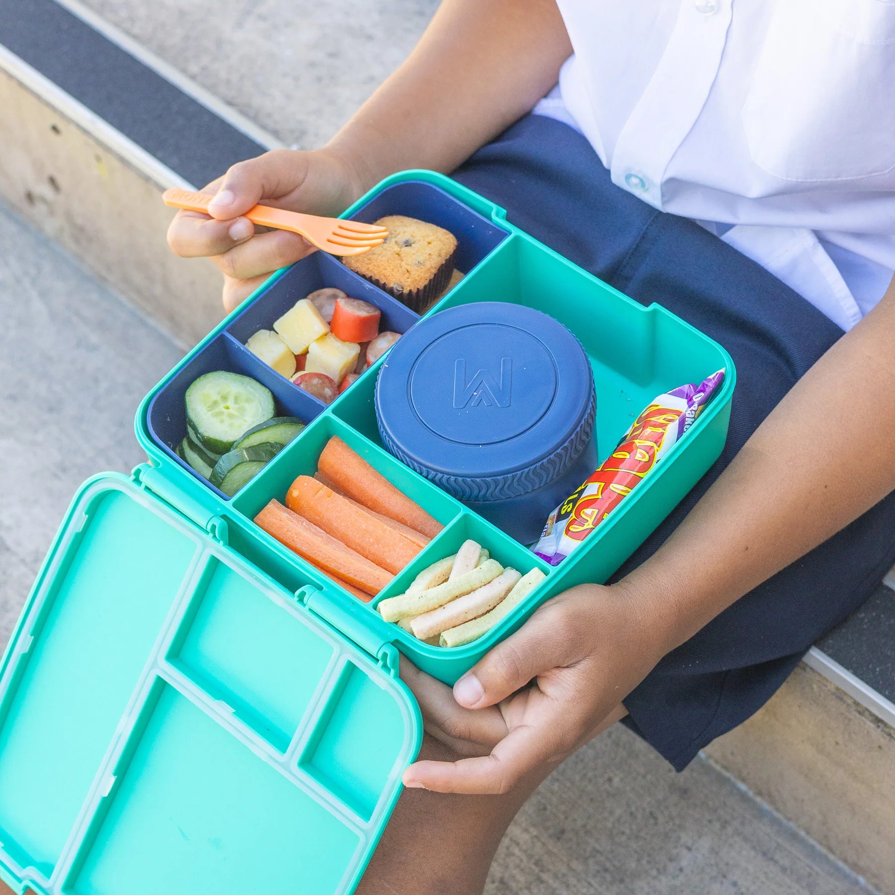 Navy Feast Lunchbox Tray - Montiico