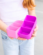 Fuchsia Bite Lunchbox Tray - Montiico