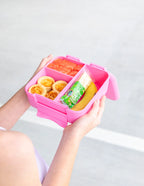 Floss Bite Lunchbox - Montiico