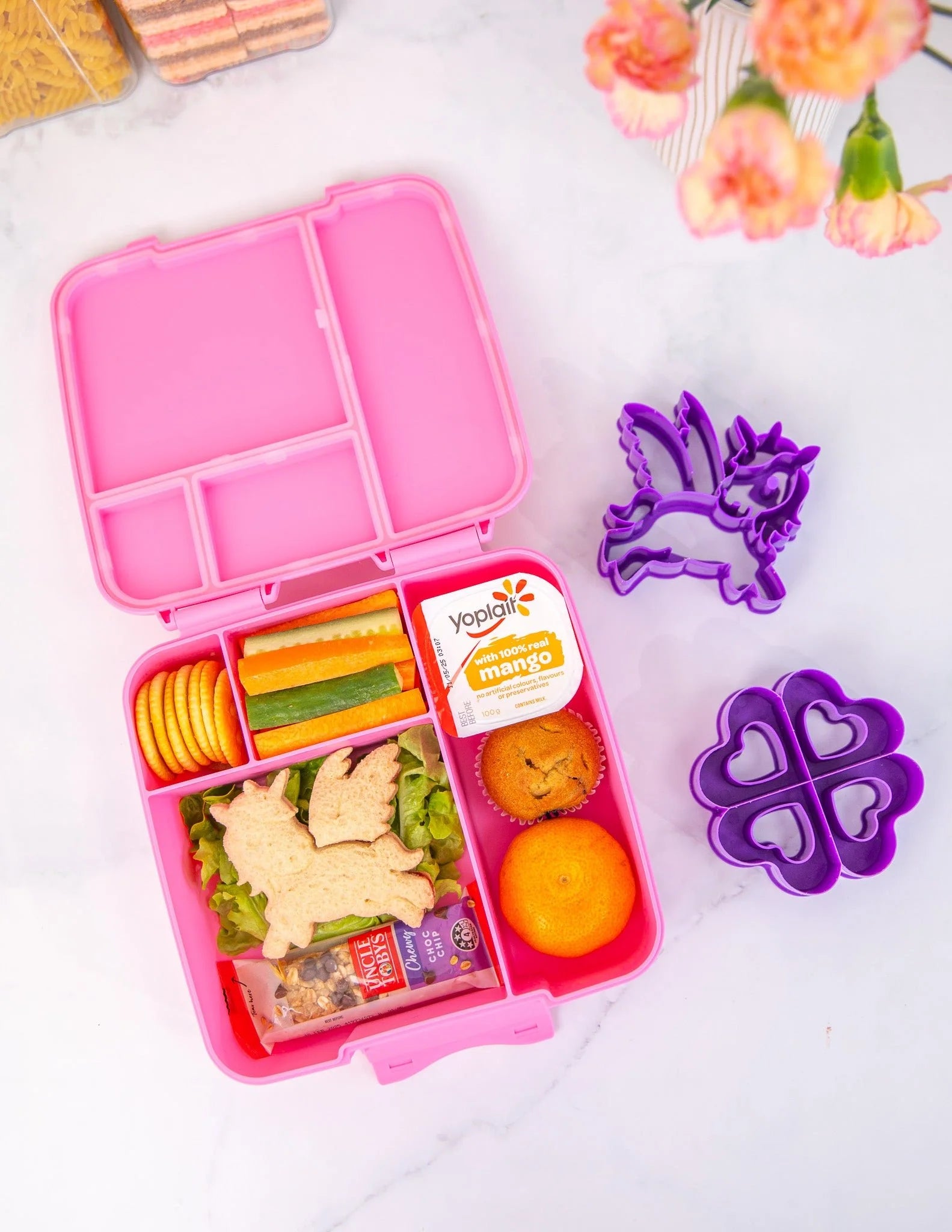 Floss Feast Lunchbox - Montiico