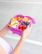 Floss Bite Lunchbox Tray - Montiico