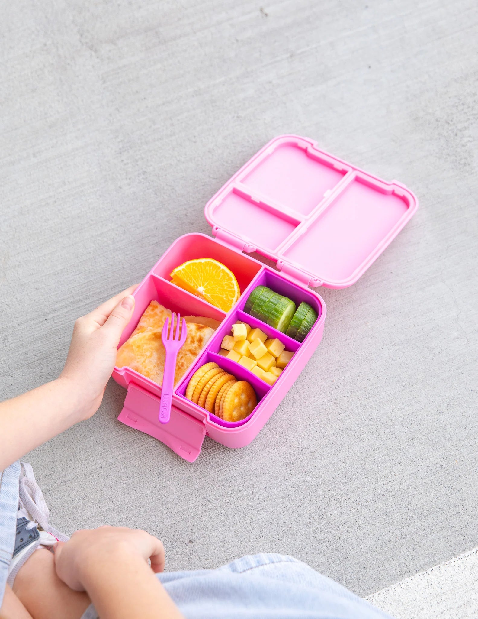 Fuchsia Bite Lunchbox Tray - Montiico