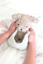 Biscuit Puppy & Carrier Set - Alimrose