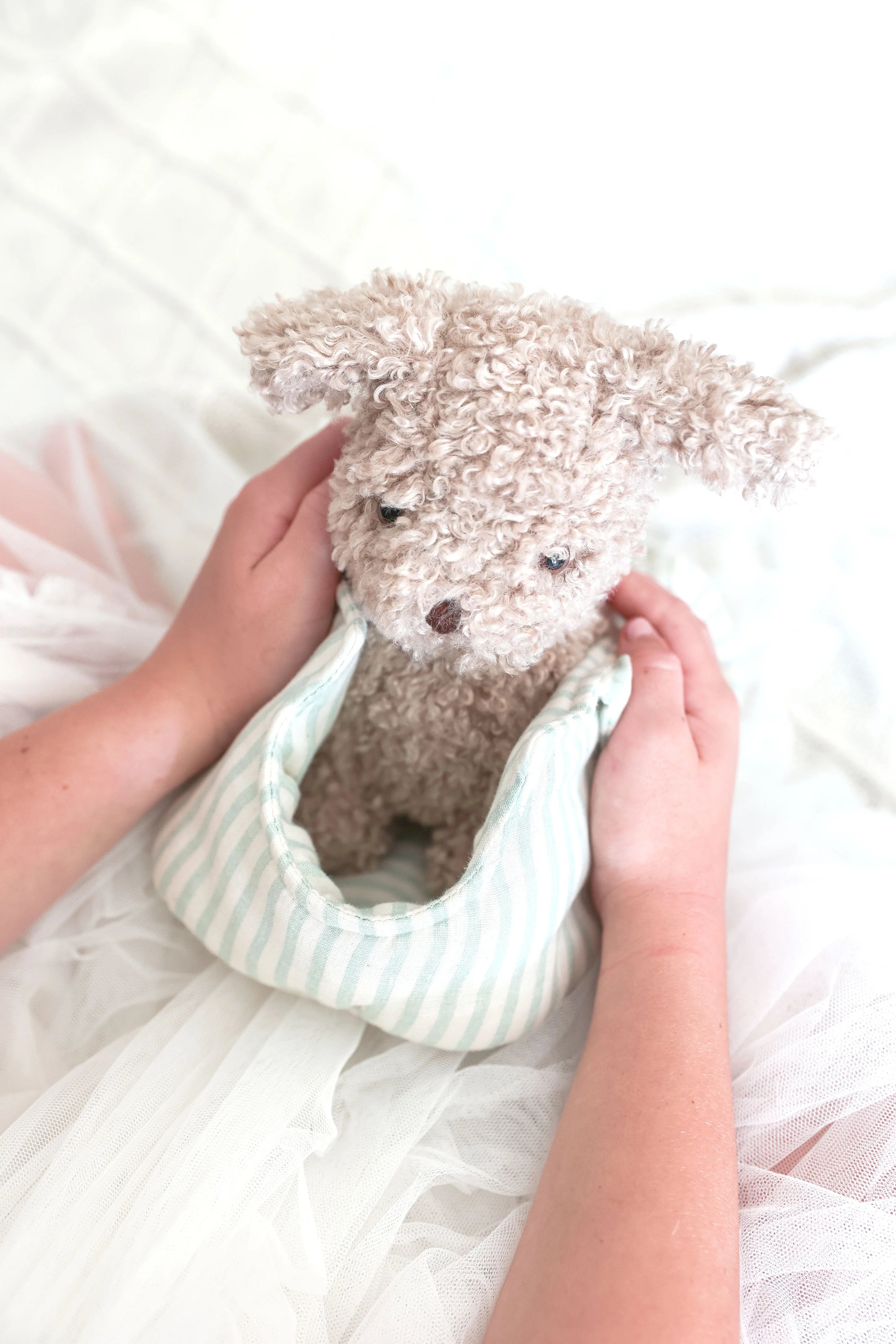 Biscuit Puppy & Carrier Set - Alimrose