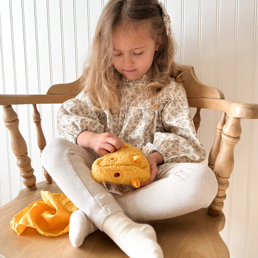 Pull & Stuff Busy Cheese Toy - Little Lamb Kind