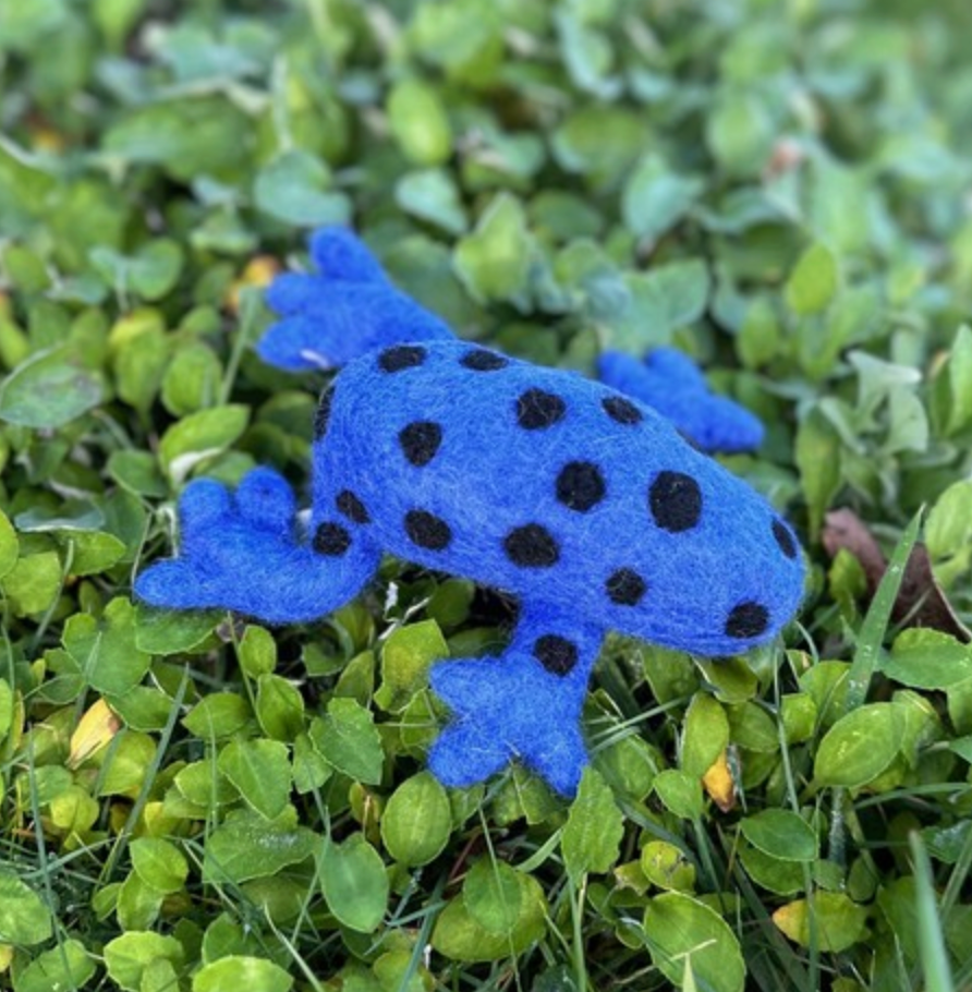Blue Spotted Frog  – Himalayan Felt Co