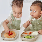 b.box - 2 in 1 Suction Plate