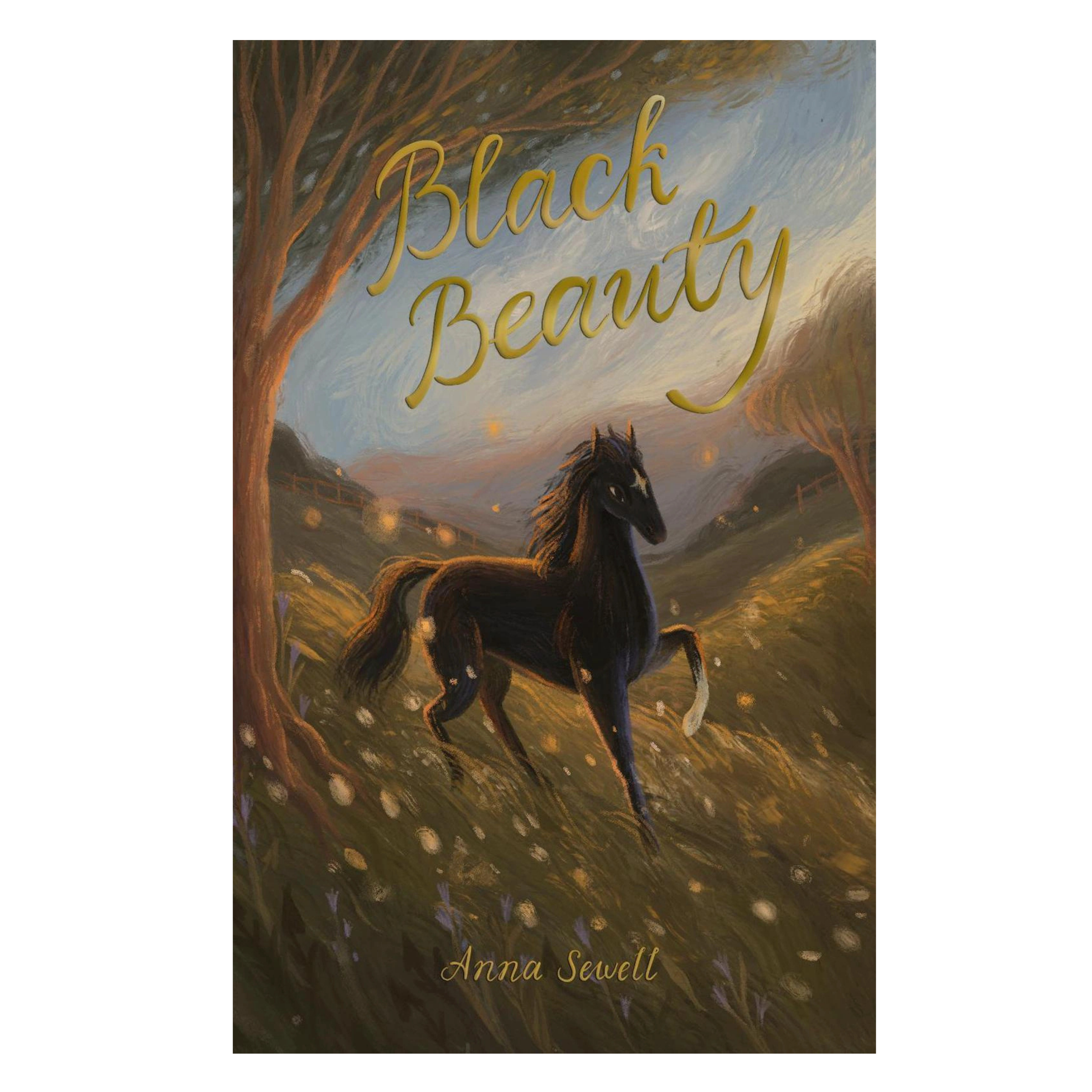 book cover of Black Beauty paperback book by Anna Sewell with illustrated cover featuring a black horse running through a glowing countryside scene