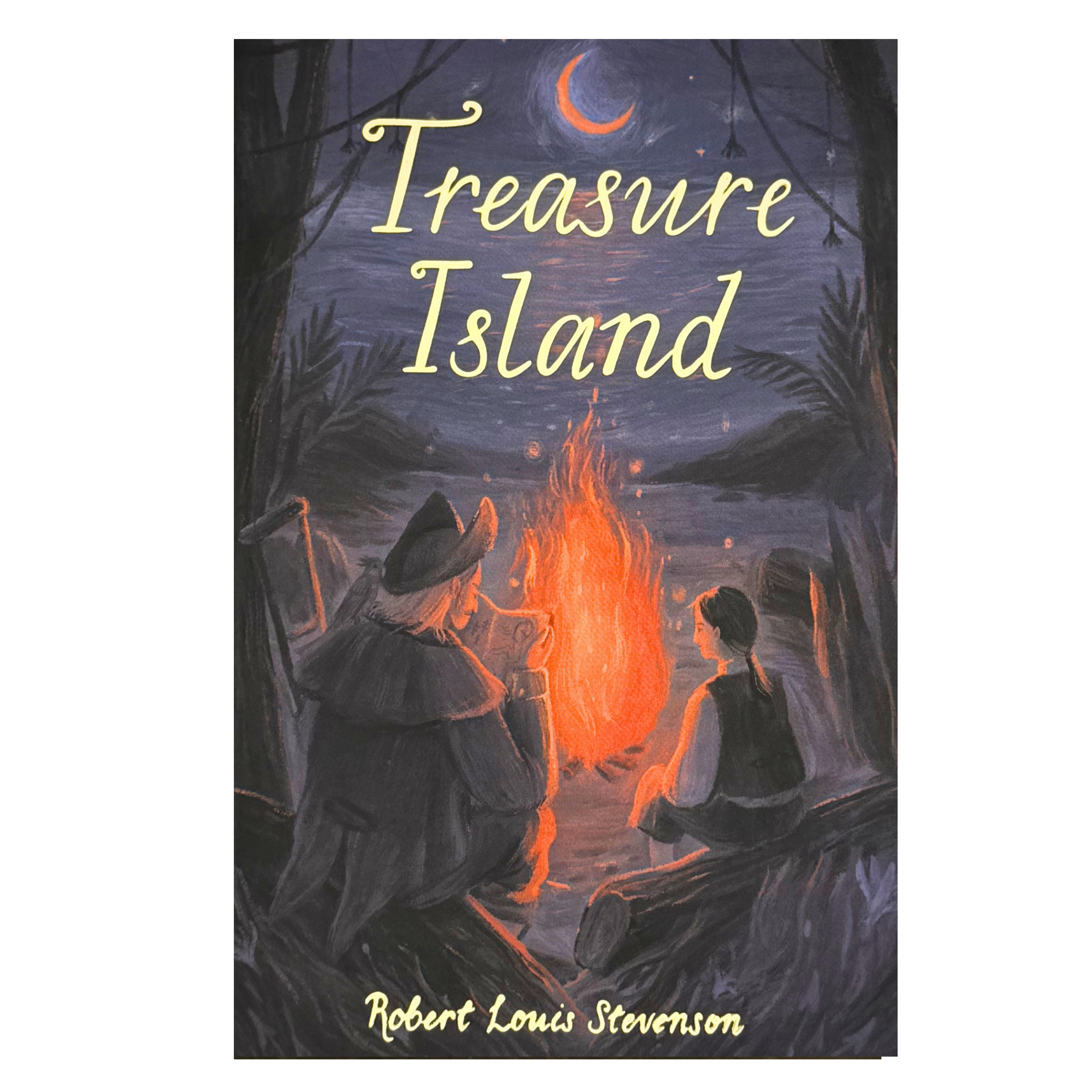 Treasure Island paperback book by Robert Louis Stevenson with illustrated cover showing pirates around a campfire at night