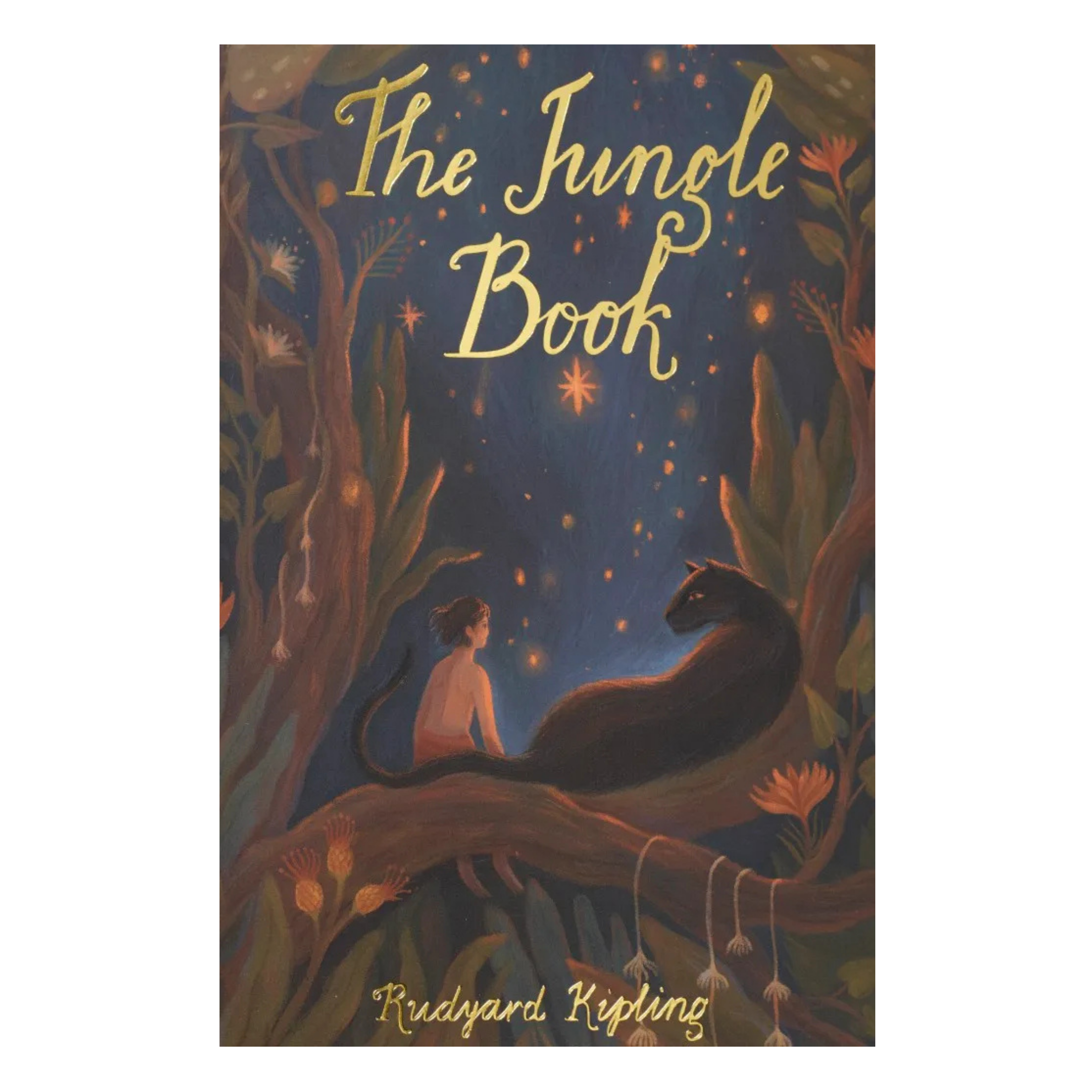 The Jungle Book children’s book by Rudyard Kipling with illustrated cover of Mowgli sitting with a black panther in a glowing jungle scene