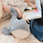 Wally the Whale & Crinkle Sensory Book Set - Little Lamb Kind