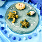 Lifecycle of Green Sea Turtle Felt Set - Tara Treasures