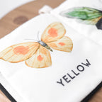 Butterfly colour recognition book for toddlers