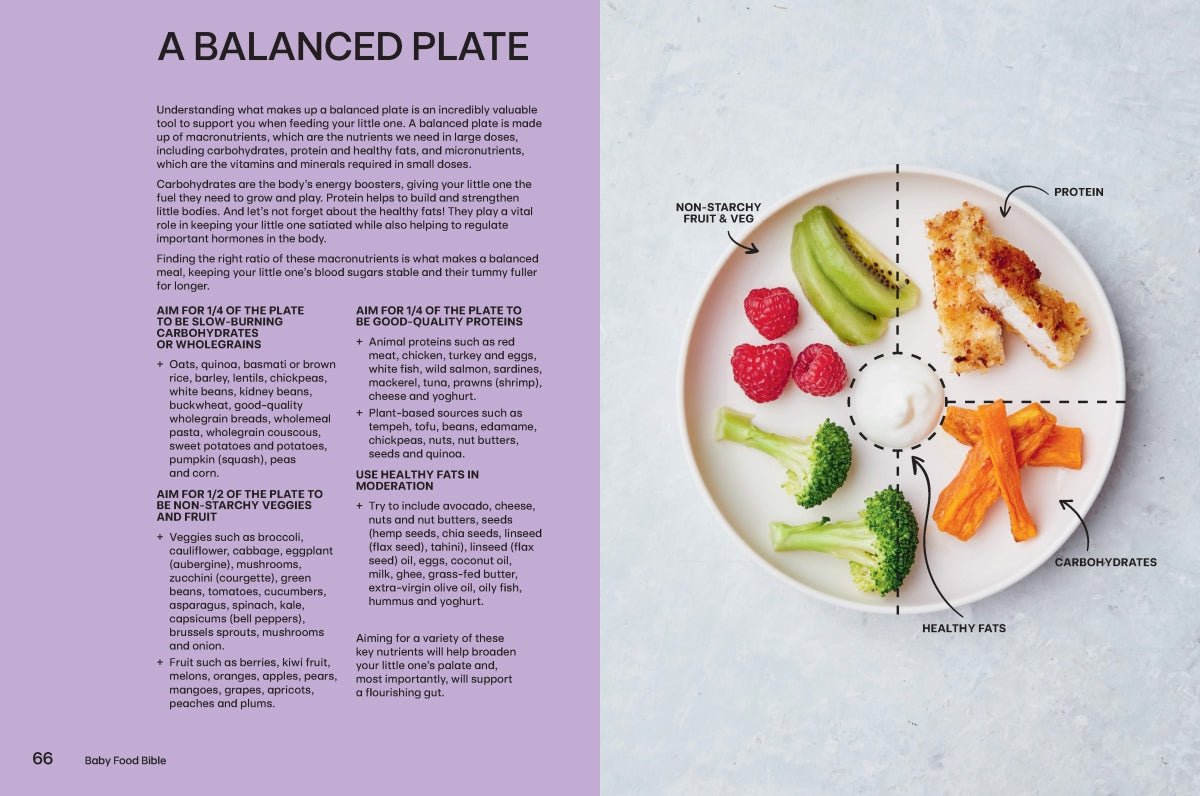 Baby Food Bible - Julia Tellidis