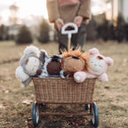 Olli Ella Cozy Dinkum dolls including Mini Zebra