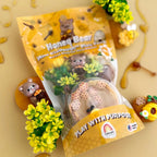 Honey Bear Mini Playdough Kit - Earth Grown KidDoughs