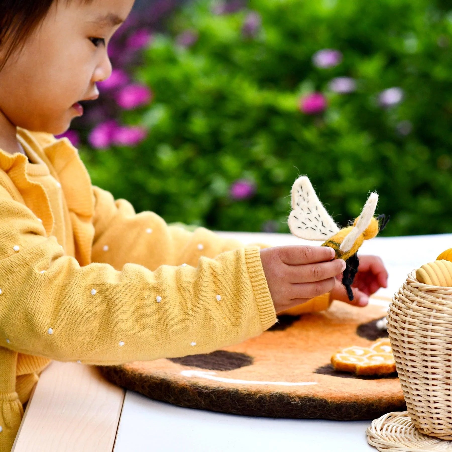 Lifecycle of Honey Bee Felt Set - Tara Treasures