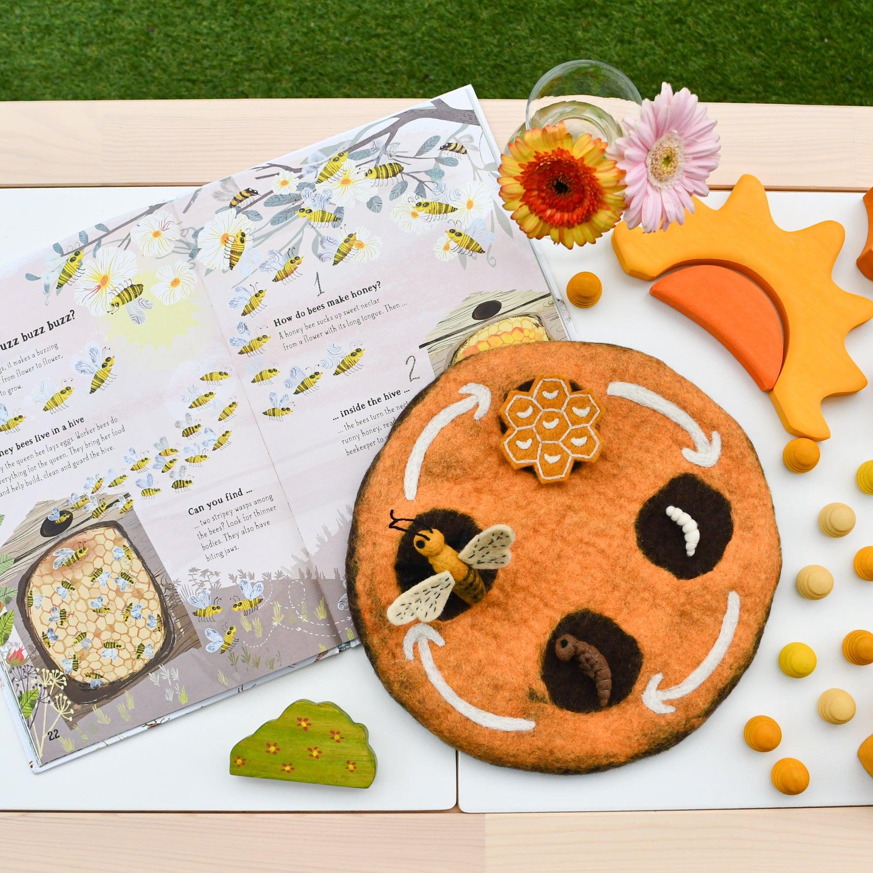 Lifecycle of Honey Bee Felt Set - Tara Treasures