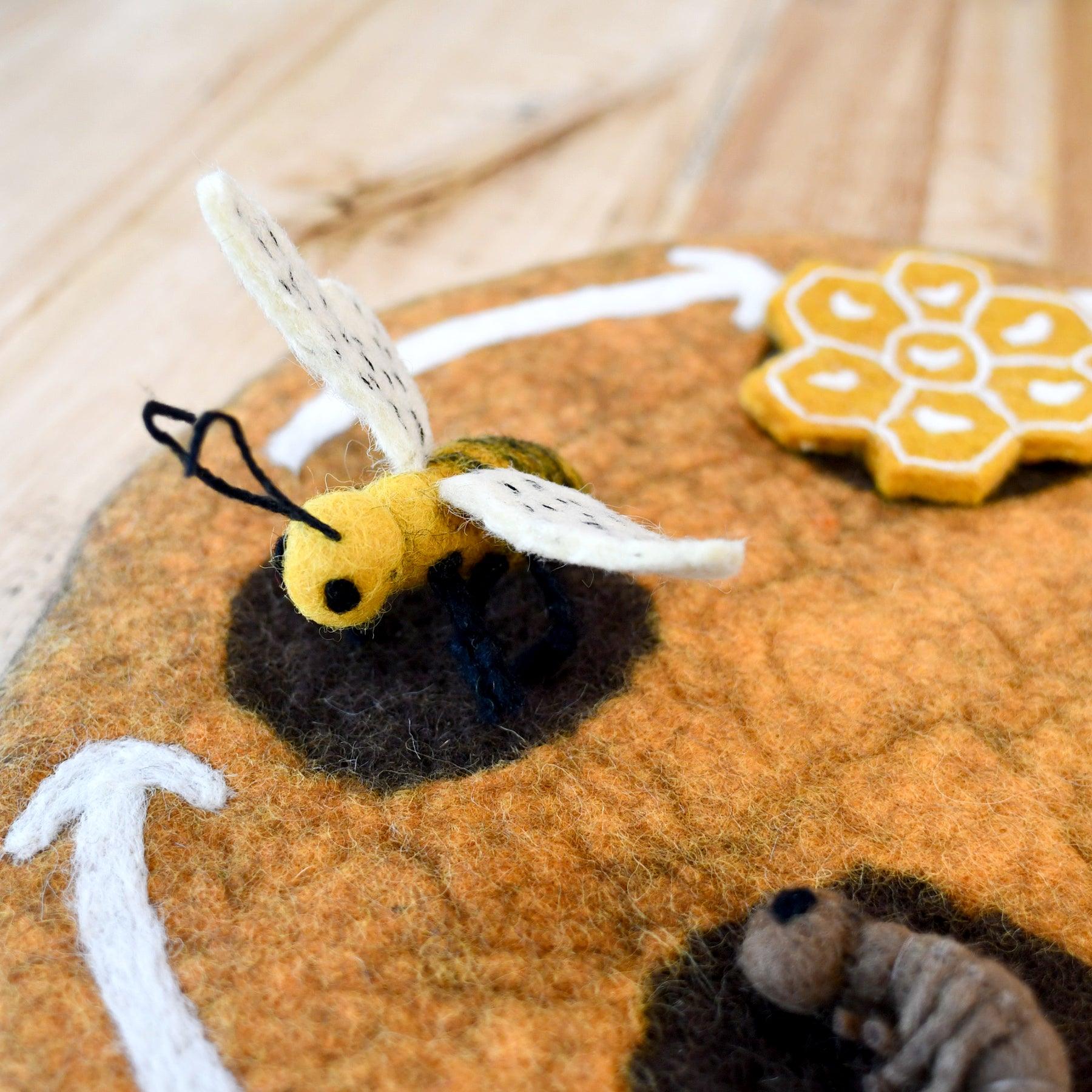 Lifecycle of Honey Bee Felt Set - Tara Treasures