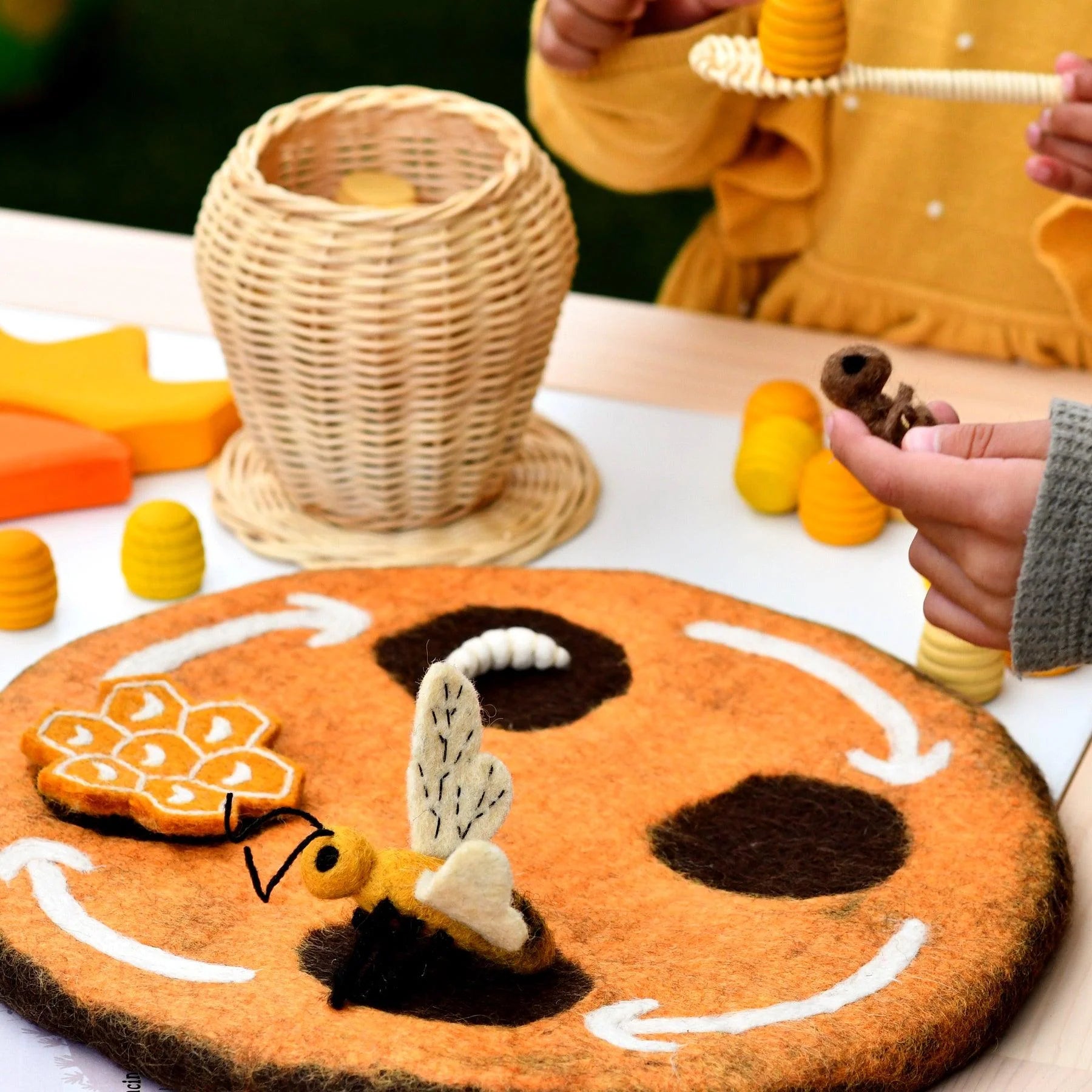 Lifecycle of Honey Bee Felt Set - Tara Treasures