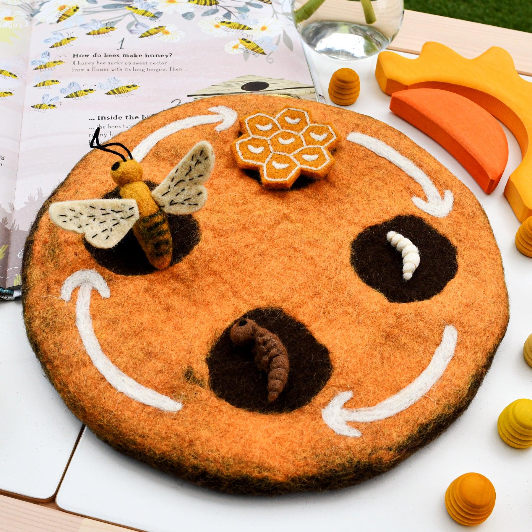 Lifecycle of Honey Bee Felt Set - Tara Treasures