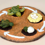 Lifecycle of Green Sea Turtle Felt Set - Tara Treasures