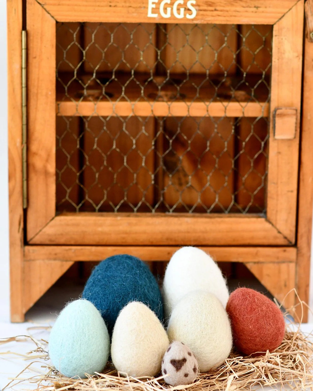 Poultry Egg Felt Variety Set - Tara Treasures