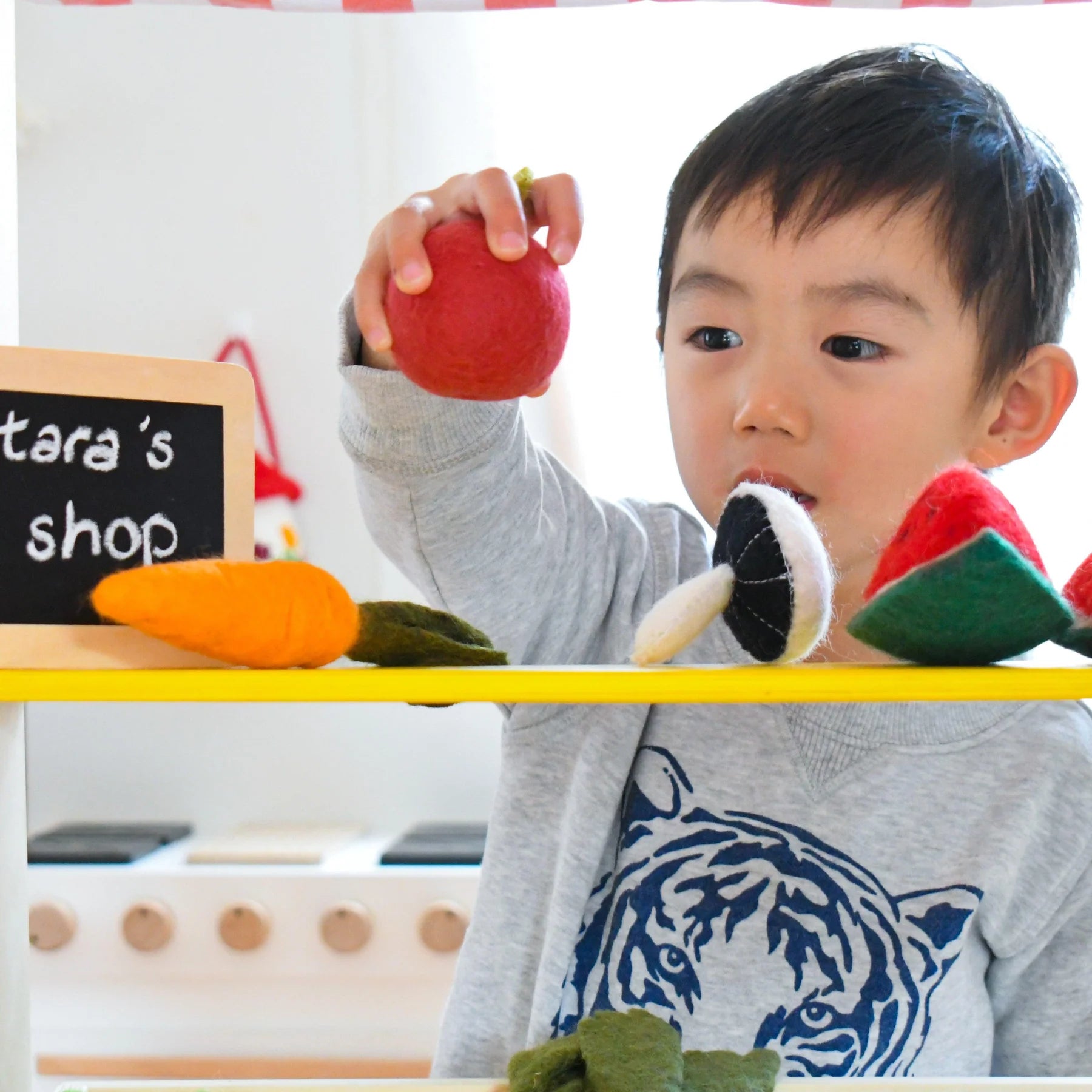 Red Apple Felt Food - Tara Treasures