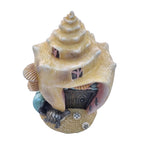 Seaside Conch Shell Fairy House - Fairy Garden