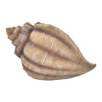 Coastal Seashell Fairy House - Fairy Garden