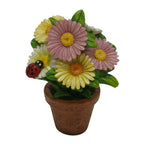 Daisy Pots - Fairy Garden