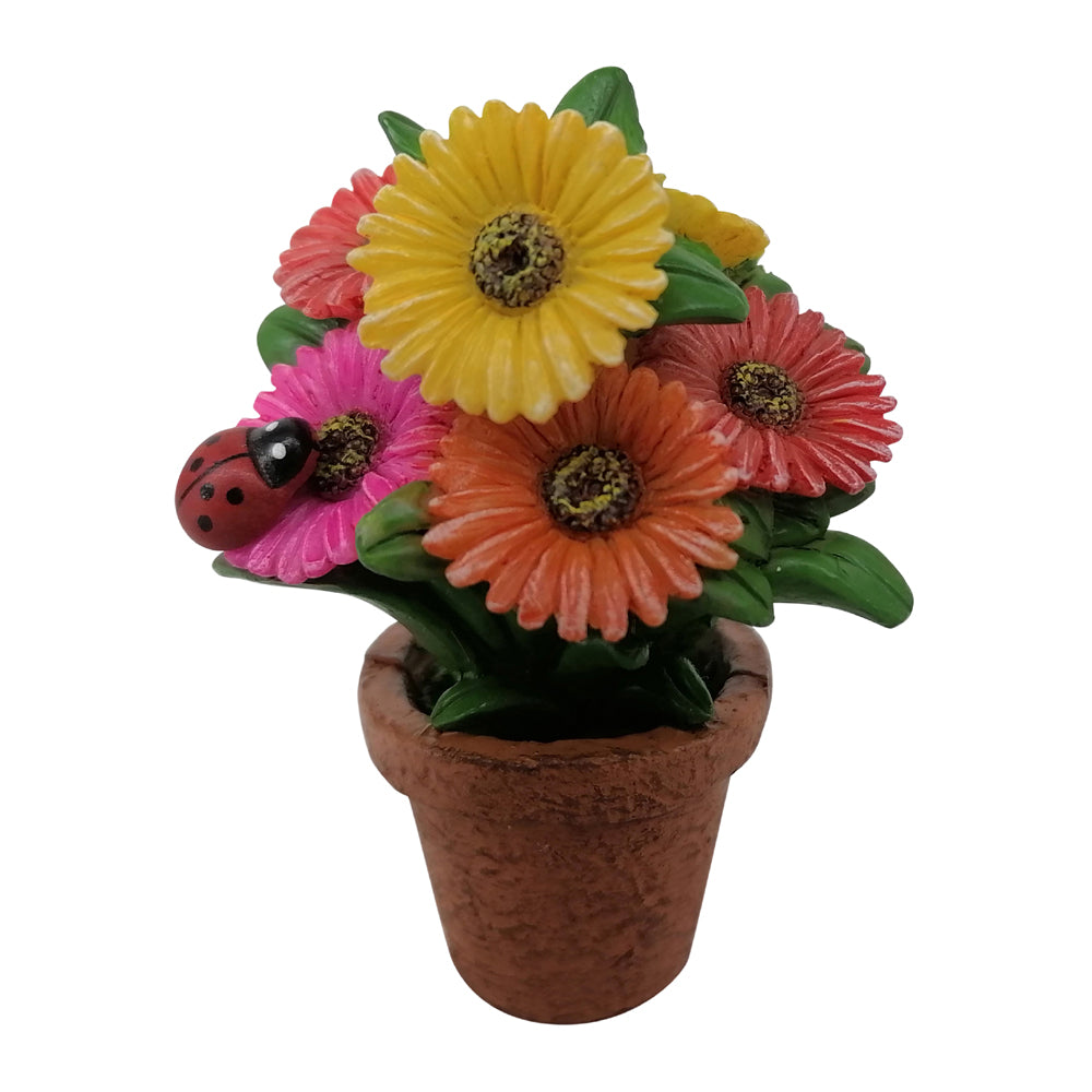 Daisy Pots - Fairy Garden