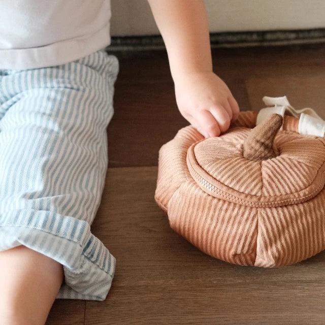 Pumpkin Zipper Pouch - Little Lamb Kind