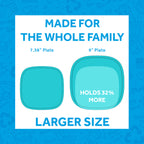 Large Flat Plates - Re-Play