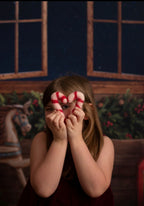 Felt Candy Canes Felt Food - Juni Moon